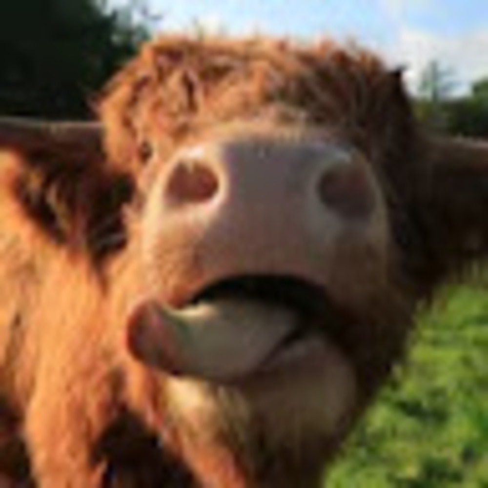 Meet your Posher, Evan